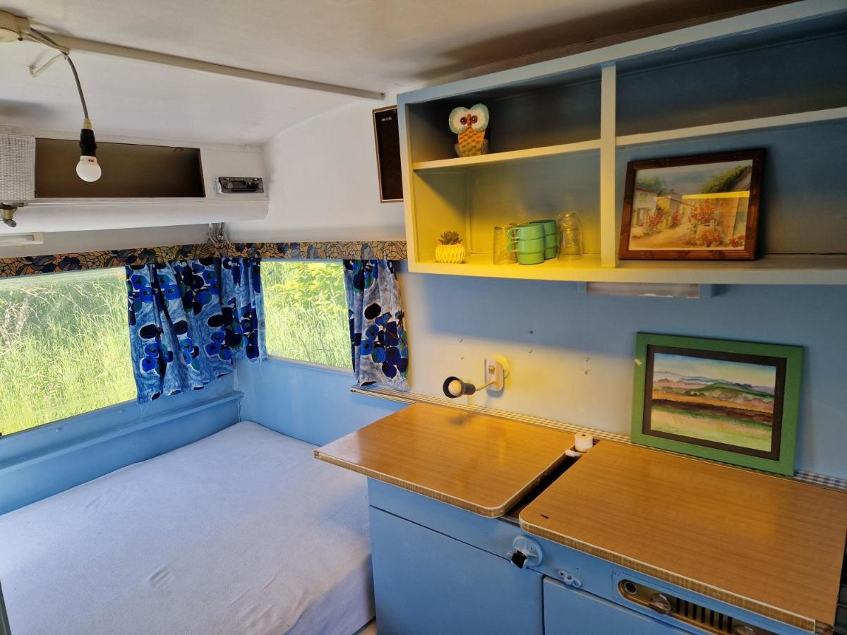 Camping La Foret Du Morvan Vintage Caravan Larochemillay المظهر الخارجي الصورة