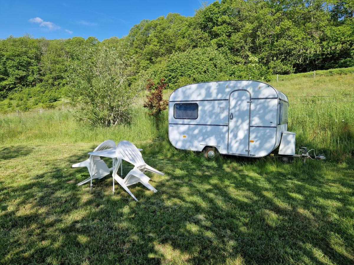 Camping La Foret Du Morvan Vintage Caravan Larochemillay المظهر الخارجي الصورة