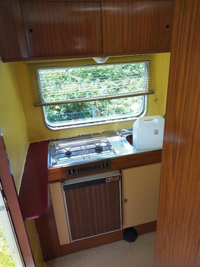 Camping La Foret Du Morvan Vintage Caravan Larochemillay المظهر الخارجي الصورة